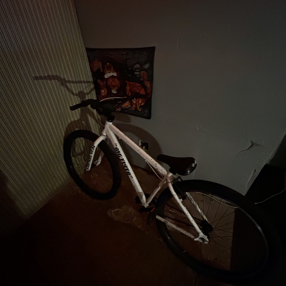 Se bike White Bicycle with Black Details